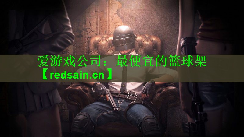 爱游戏公司：最便宜的篮球架