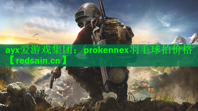 prokennex羽毛球拍价格