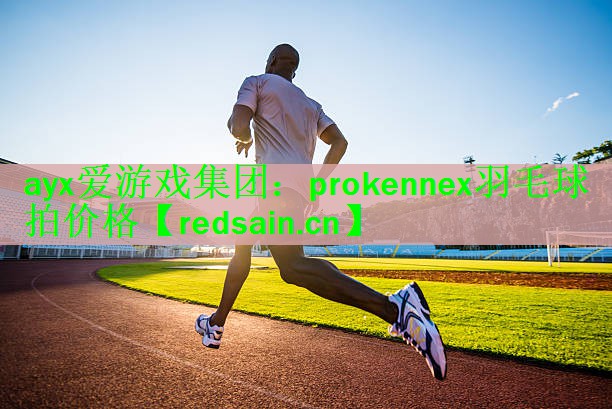 prokennex羽毛球拍价格